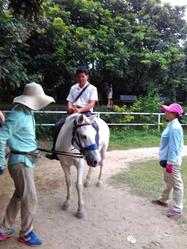 ҷ׌á2015BTм(ji)(dng)